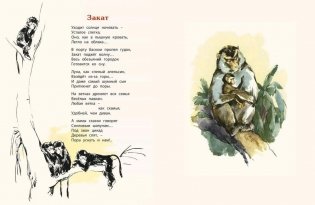 Про обезьян фото книги 7