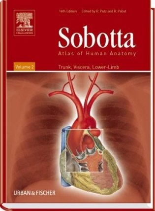 Atlas of Human Anatomy Volume 2, 14th Edition фото книги
