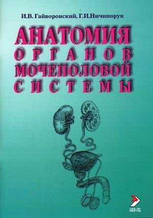 Анатомия органов мочеполовой системы фото книги