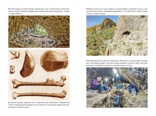 Загадка Денисовского человека. Потерянное звено в истории человечества фото книги 7