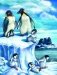 Случай в Пингвинии фото книги маленькое 8