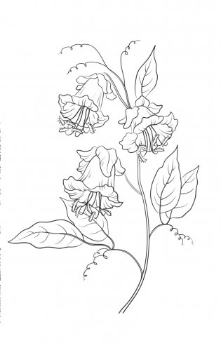 Зачарованный сад. Мини-раскраска-антистресс для творчества и вдохновения (обновленное издание) фото книги 9