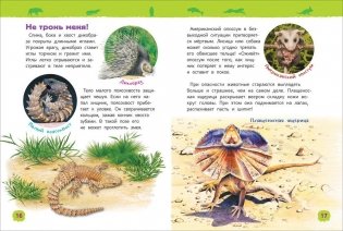 Удивительные животные. Энциклопедия для детского сада фото книги 3