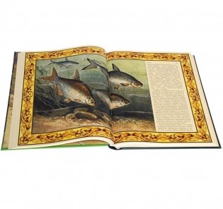 Русская рыбалка фото книги 2