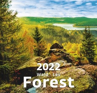Forest (Лес). Календарь настенный на 2022 год фото книги