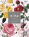 The Rose. Royal Horticultural Society. The History of the World’s Favourite Flower in 40 Captivating Roses with Classic Texts and Rare Beautiful Prints фото книги маленькое 2