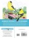 Creative Haven Glorious Songbirds Coloring Book фото книги маленькое 3