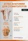 Атлас анатомии для стоматологов. В 2 т.Т. 1: Общая анатомия. Голова фото книги маленькое 2