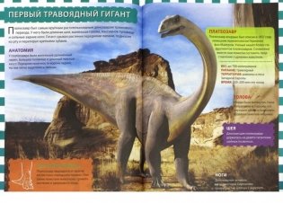 Динозавры. Детская энциклопедия фото книги 2