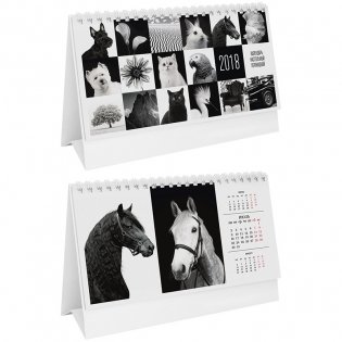 Календарь-домик "Отражение", 200x130 мм, на гребне, на 2018 год фото книги