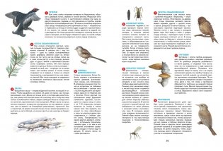 Времена года. Иллюстрированная энциклопедия фото книги 7