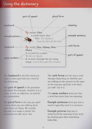 Ladybird Dictionary фото книги 6