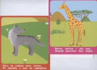 Набор карточек "Животные в зоопарке", 18 карточек фото книги 4