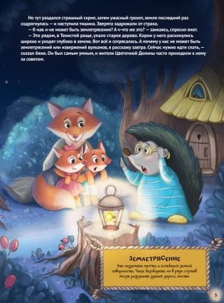 Любопытный енотик Тим! Почему Земля круглая, внутри горячая, а снаружи неровная? Книжка подготовишки фото книги 6
