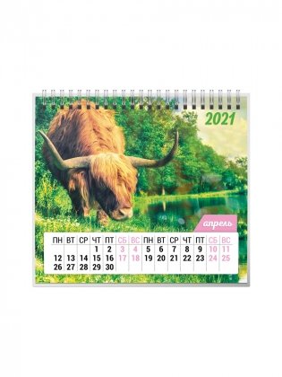Календарь-домик на 2021 год "Символ года 1" (евро) фото книги 5