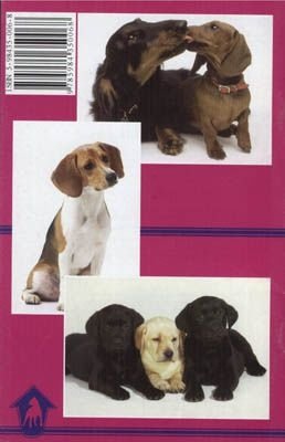 5000 кличек для вашей собаки фото книги 2