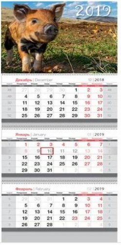 Календарь квартальный настенный на 2019 год "Символ года 2" фото книги