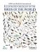 HBW and Birdlife International Illustrated Checklist of the Birds of the World Vol.1 фото книги маленькое 2
