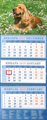 Календарь квартальный на 2018 год "Год собаки. Английский кокер спаниель среди ромашек" фото книги