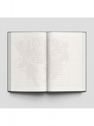 Комплект. Набор по Гарри Поттеру. Хогвартс черный (блокнот+ стикеры + значки) фото книги 3