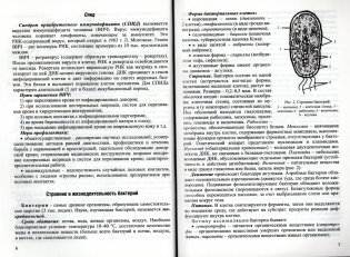 Биология. Интенсивный курс для школьников и абитуриентов фото книги 3