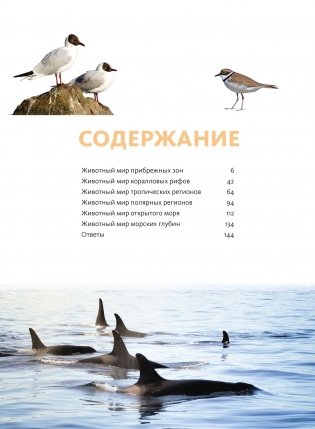Животные морей и океанов. Большая школьная энциклопедия фото книги 2