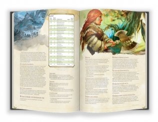 Dungeons&Dragons Книга игрока фото книги 2