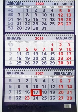 Квартальный календарь на 2021 год (в ассортименте) фото книги 7