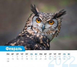 Календарь-домик (евро) "Забавные животные. Маркет" на 2022 год фото книги 2