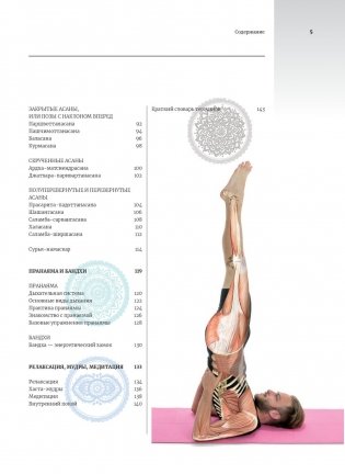 Анатомия и йога фото книги 14