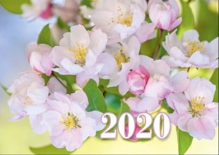 Календарь настенный "Яблоневый цвет" на 2020 год фото книги