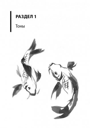 Курс китайского языка. Фонетический тренажер фото книги 7