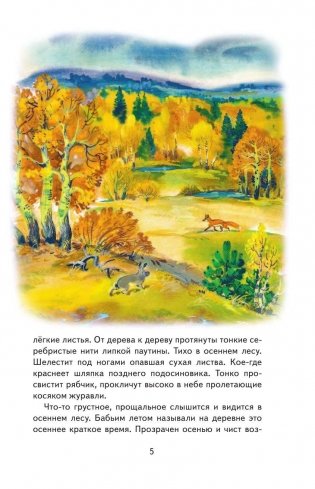 Русский лес фото книги 5