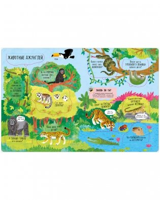 Большая книга с окошками. Животные фото книги 3