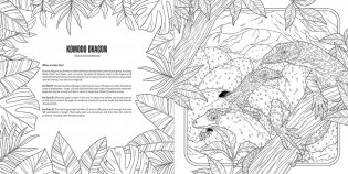 Baby animals: a smithsonian coloring book фото книги 3