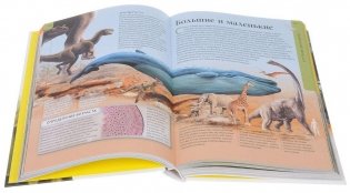 Большая энциклопедия динозавров фото книги 4