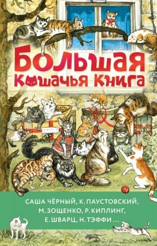 Большая кошачья книга фото книги