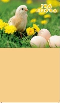 Календарь на магните отрывной на 2017 год "Год Петуха. Цыплята" ( КР33-17007) фото книги