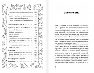 Секреты зеленой ведьмы. Фамильяры, магия стихий, растений и камней фото книги 6