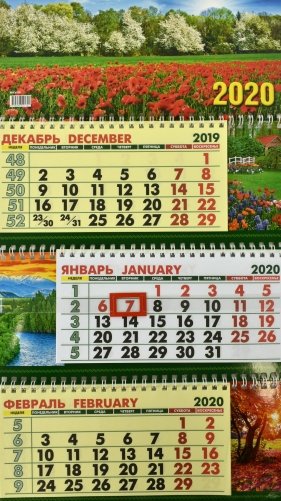 Календарь настенный квартальный с курсором трехблочный на 2020 год "Маки", 25x45 см фото книги