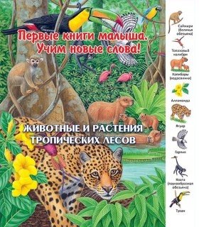 Животные и растения тропических лесов фото книги