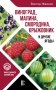 Виноград, малина, смородина, крыжовник и другие ягоды фото книги маленькое 2