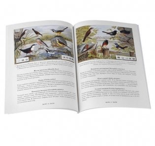 Полезные и вредные птицы фото книги 2