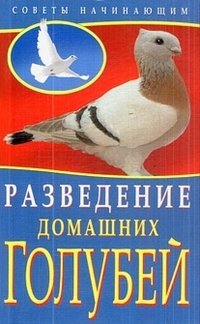 Разведение домашних голубей фото книги