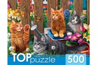Пазлы "Toppuzzle. Котята мейн-кун", 500 элементов фото книги