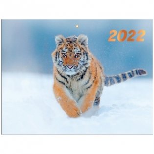 Календарь квартальный "Символ года 1. Маркет" на 2022 год фото книги