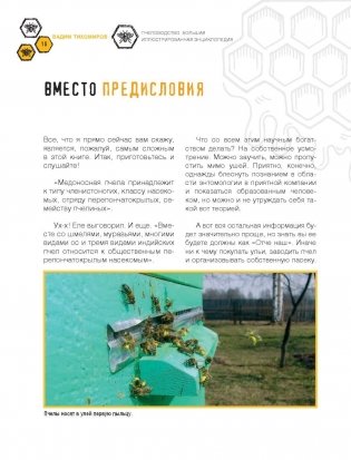 Пчеловодство. Большая иллюстрированная энциклопедия фото книги 11