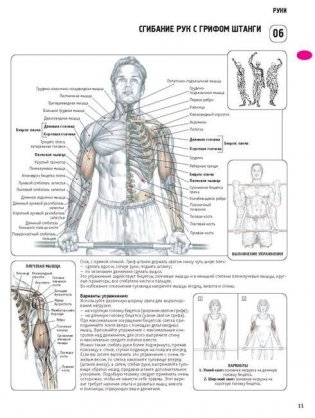 Анатомия силовых упражнений для мужчин и женщин фото книги 10