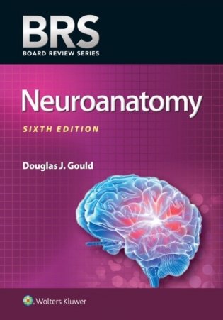 BRS Neuroanatomy 6E фото книги