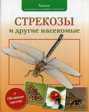 Стрекозы и другие насекомые + обучающие карточки фото книги